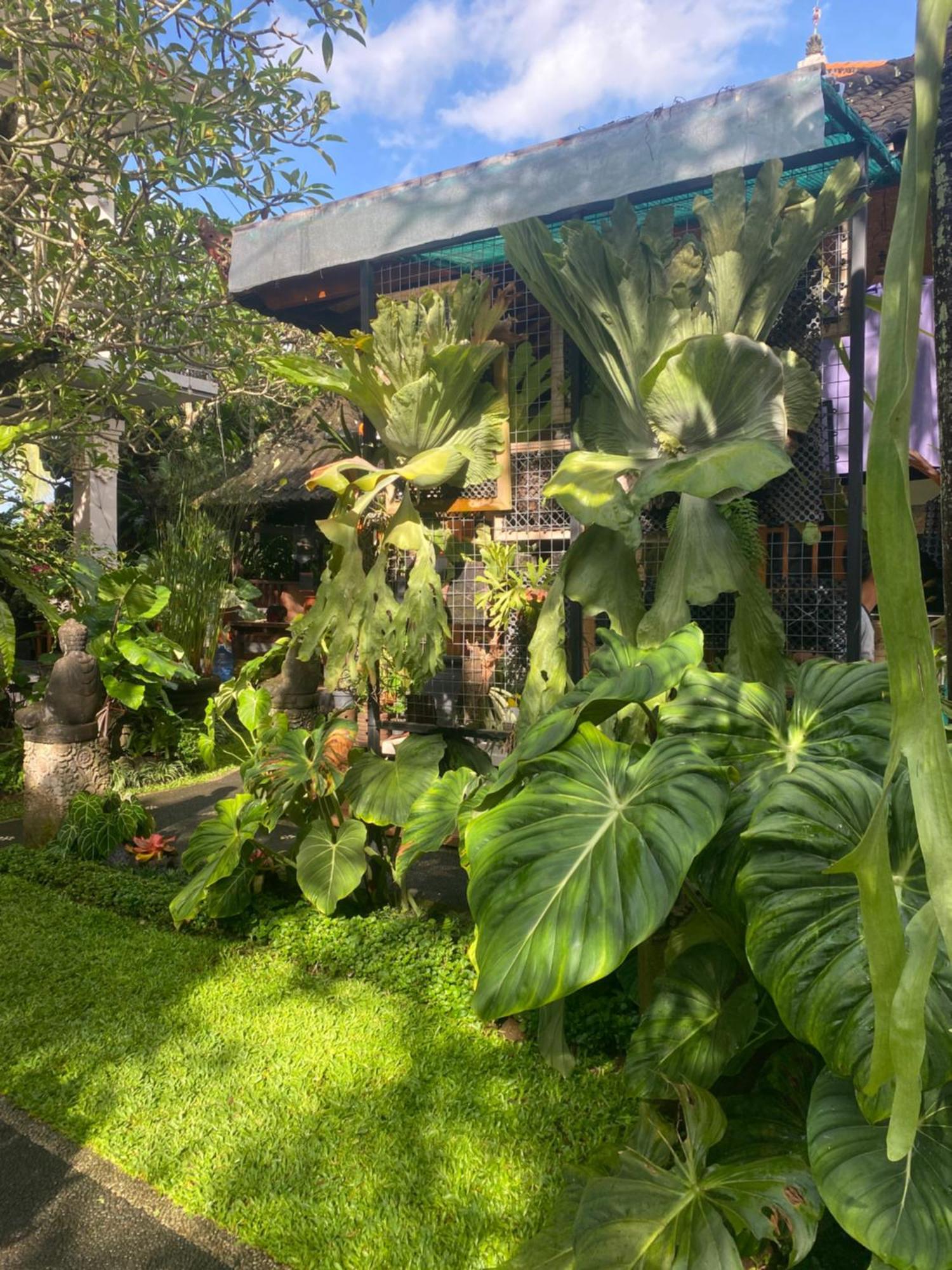 Suryadina Guest House Ubud Buitenkant foto